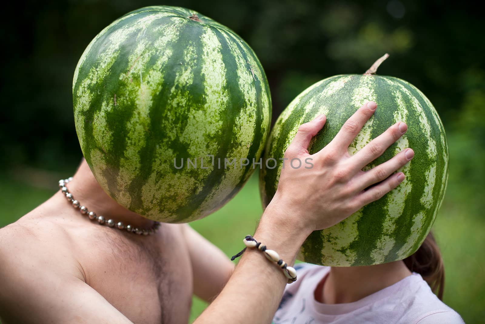  Watermelons love by palinchak
