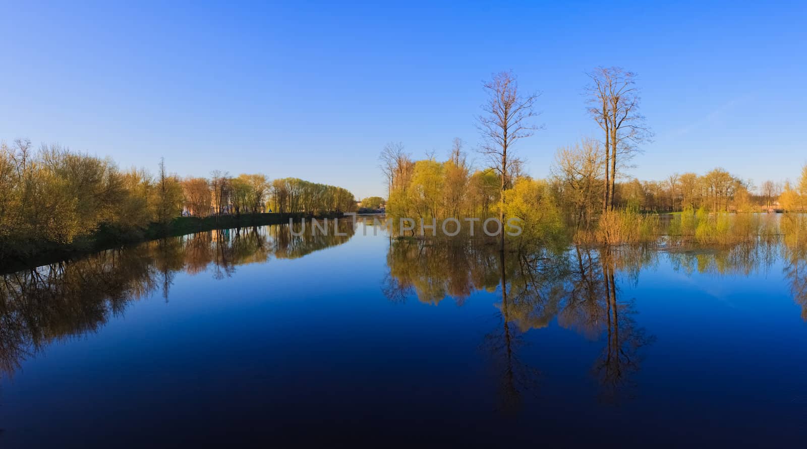 River And Spring Forest Reflection In Lake. Nature Composition.