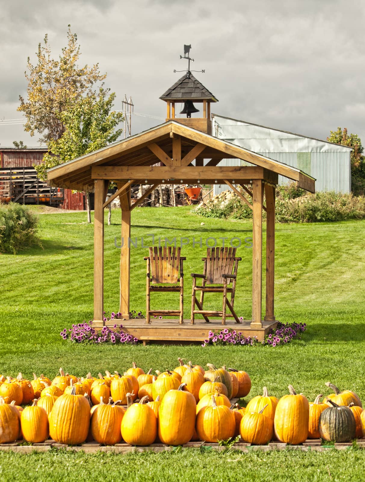 front lawn of a farm in autumn