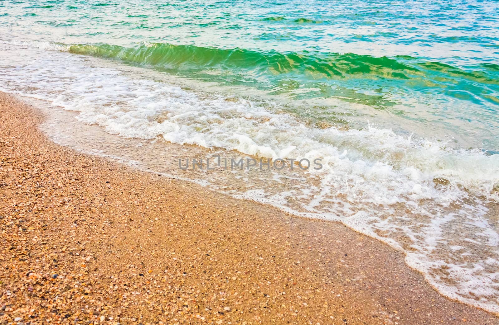 Soft sea ocean waves wash over golden sand background