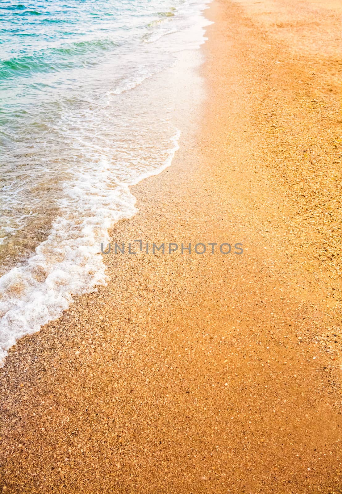 Soft sea ocean waves wash over golden sand background