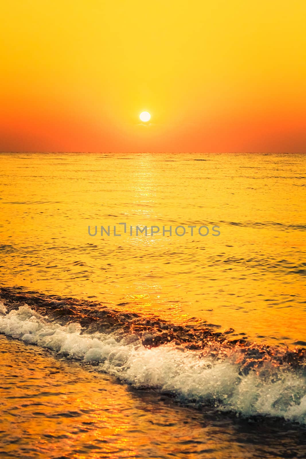 Soft sea ocean waves wash over golden sand background. Sunset, sunrise, sun