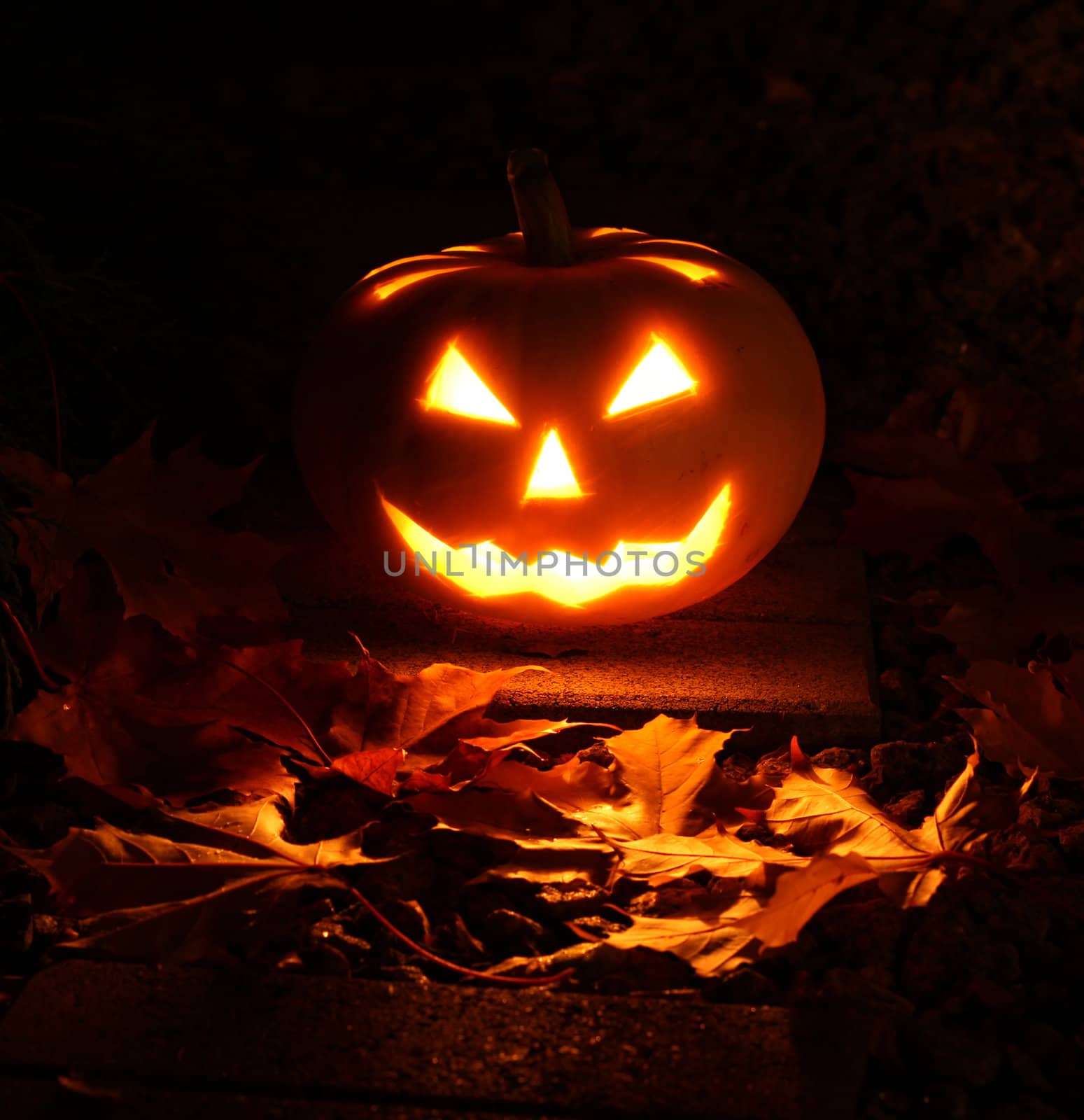 Halloween pumpkin in dark garden by anterovium