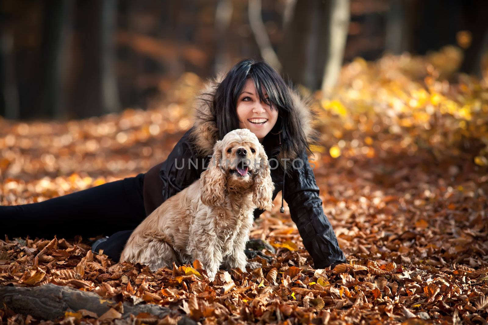 Girl and cocker spaniel in the autumn forest by palinchak