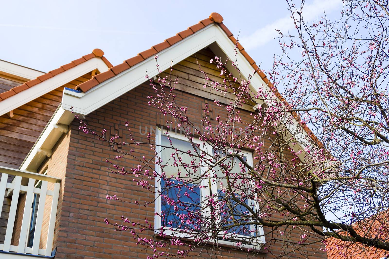 Window in the attic storey (loft) coated with terracotta tiles