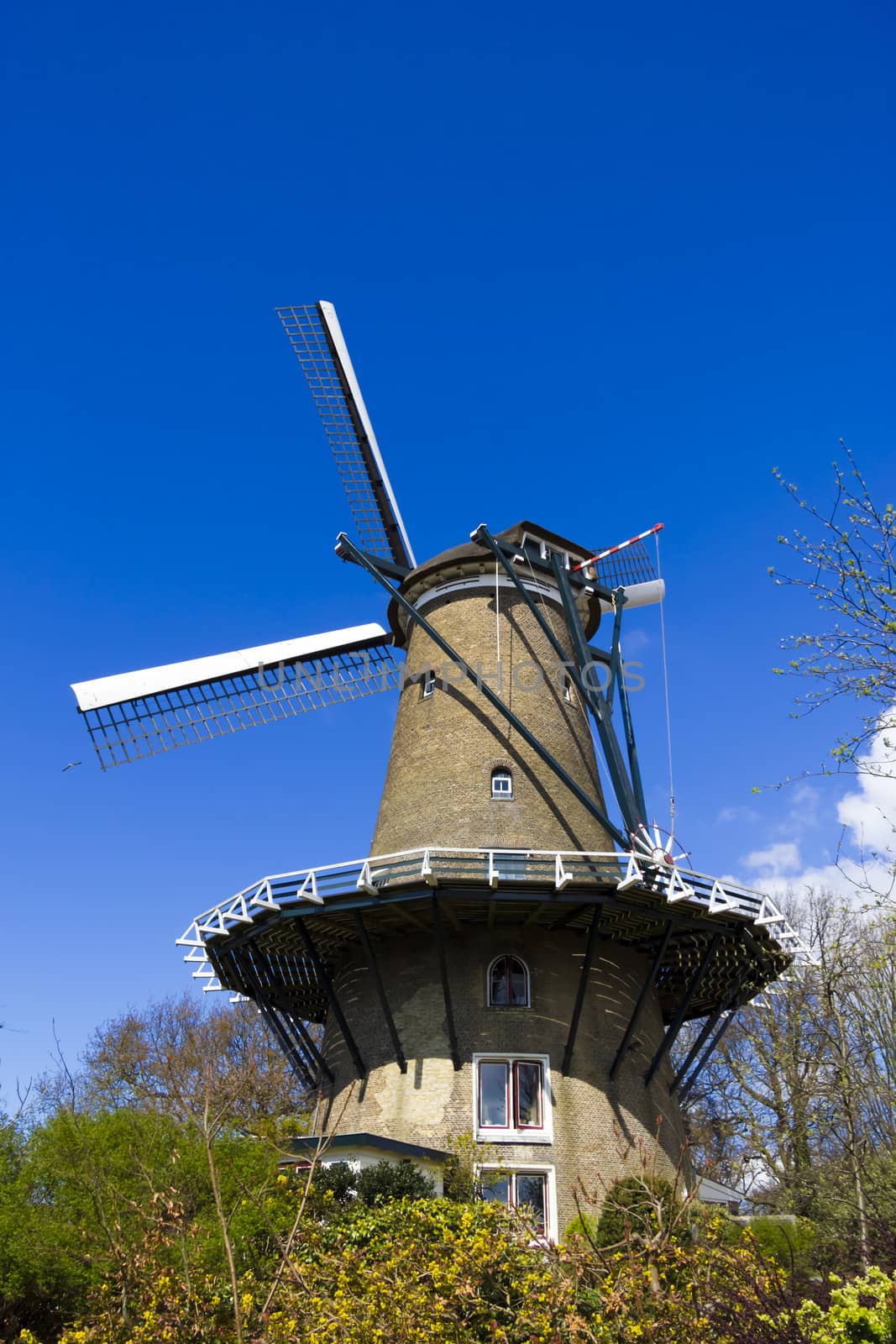 Beatiful Colored Windmill (full-length, vertical) in Alkmaar