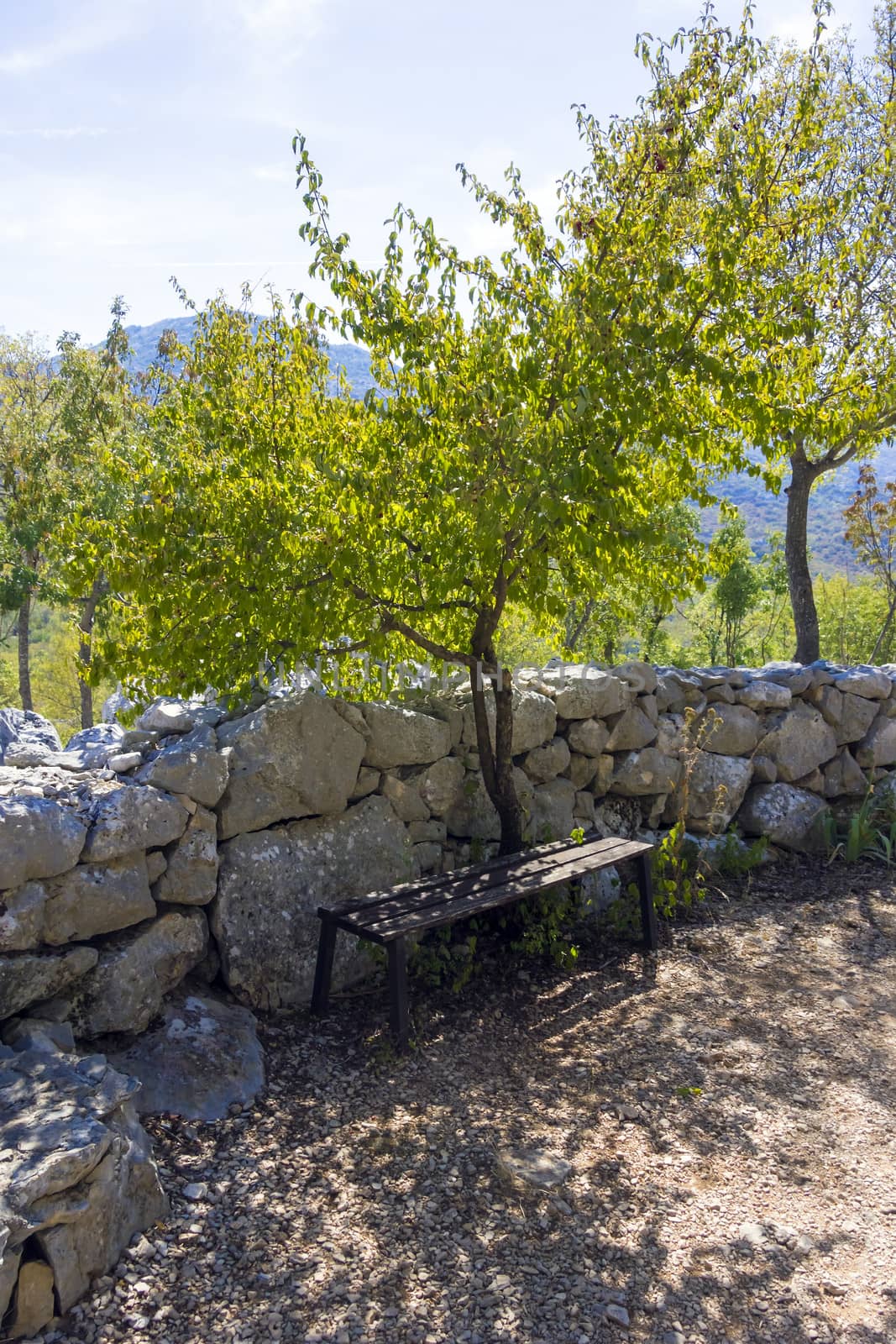 Bench under a tree in Dalmatia Mountains, Croatia