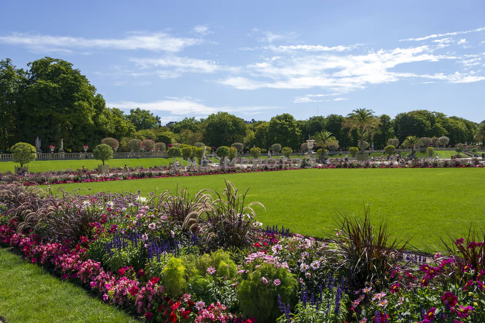 Luxembourg gardens, Paris, France by Tetyana