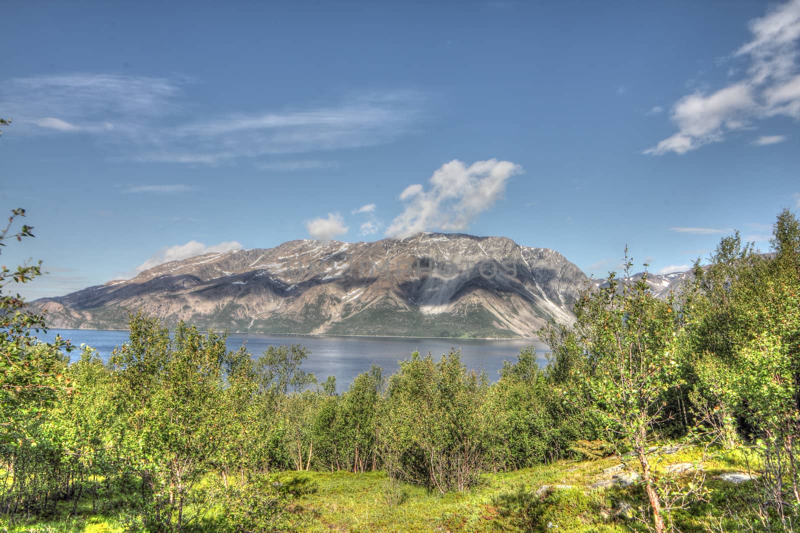 Beautiful view on fjord and mountains in northern Norway