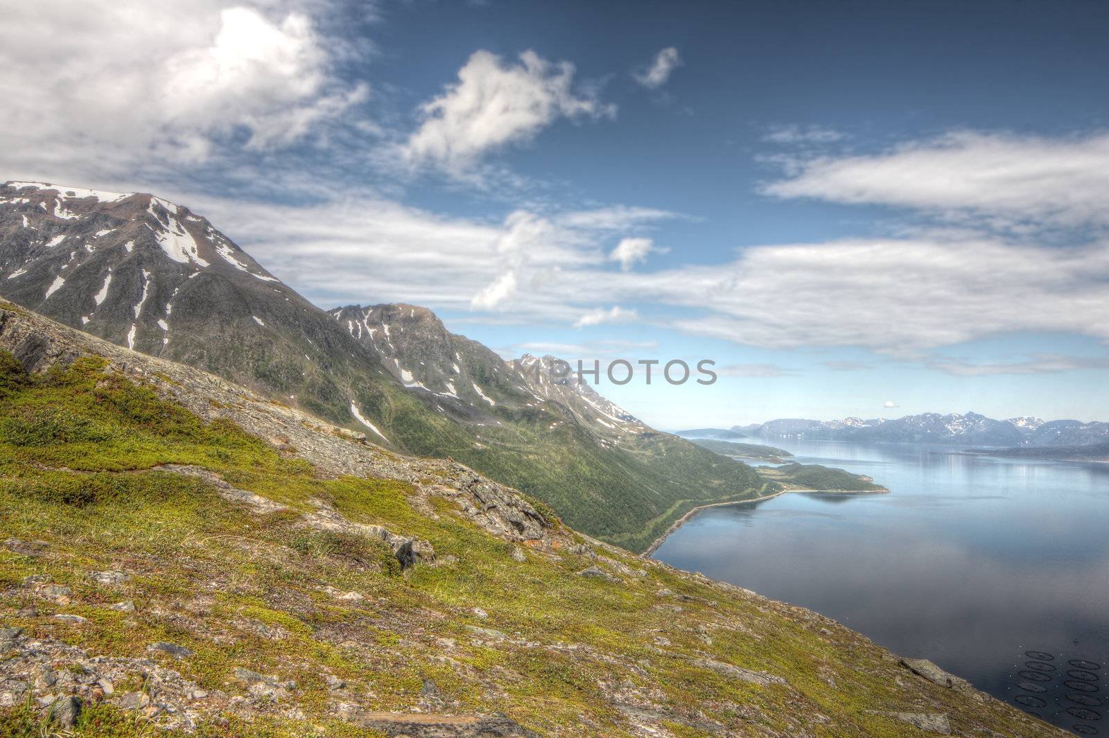 Scenic panorama of fjord on in northern Norway on sunny summer day