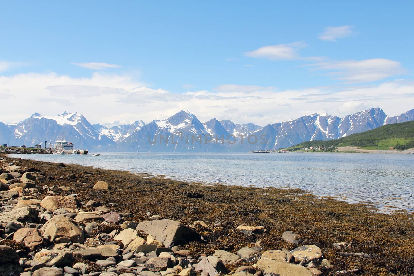 Arctic mountains and fjord in northern Norway at summer