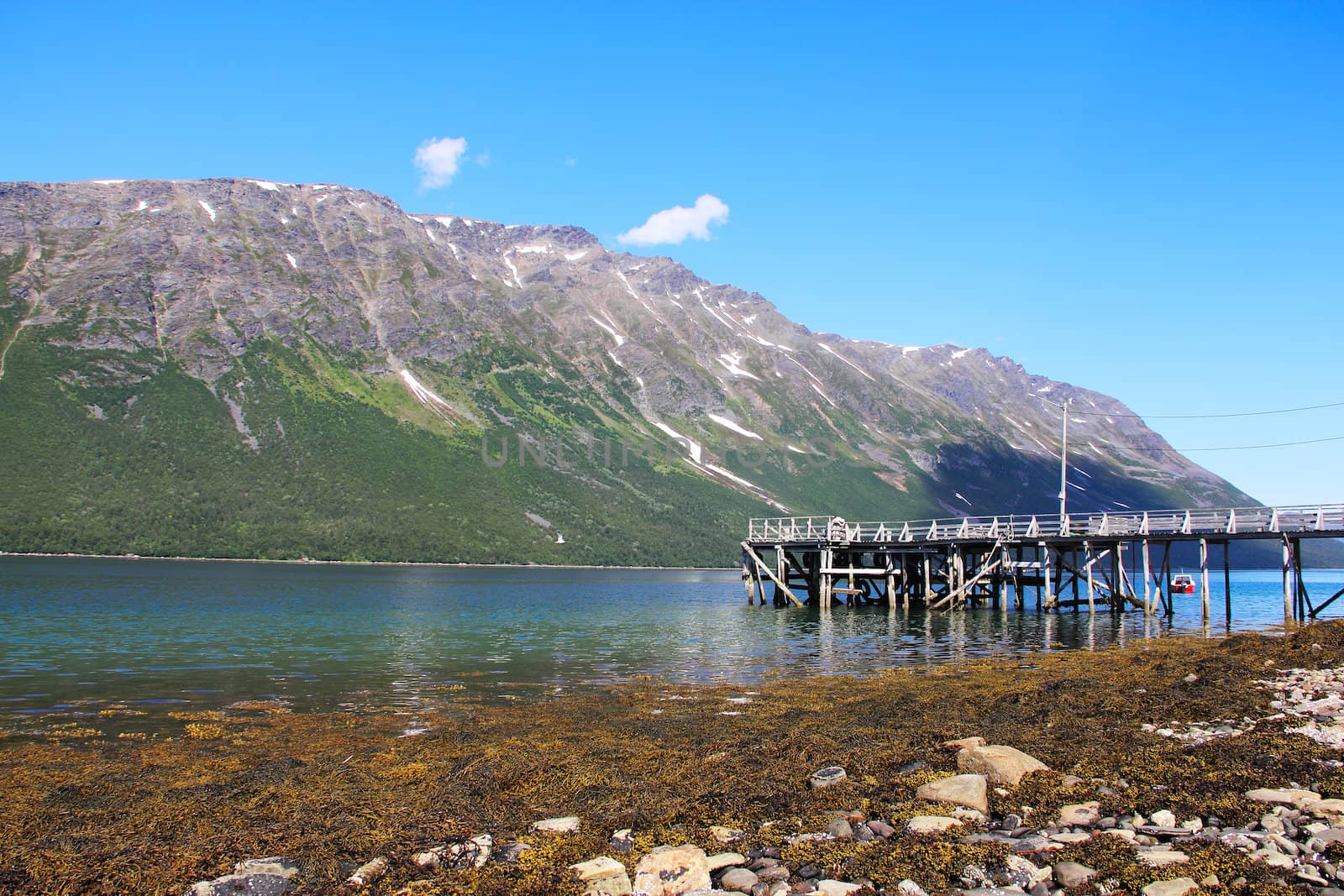 Arctic mountains and fjord in northern Norway at summer