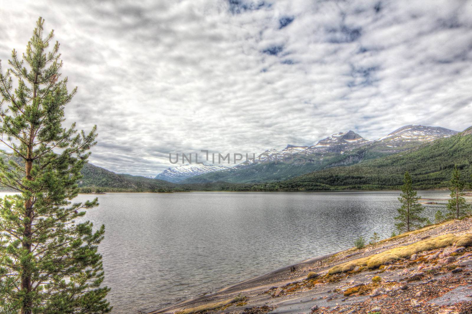 Northern  Norway landscape with fjord, mountains and forest