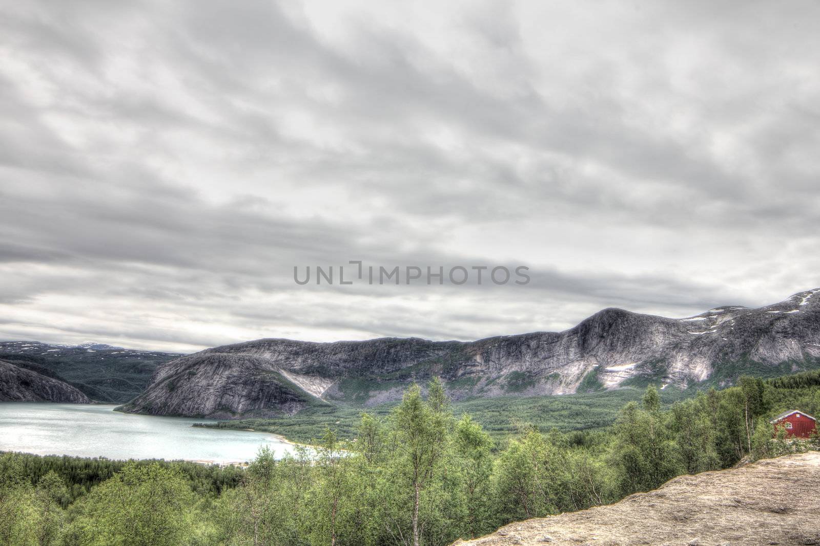 Northern  Norway landscape with fjord, mountains and forest