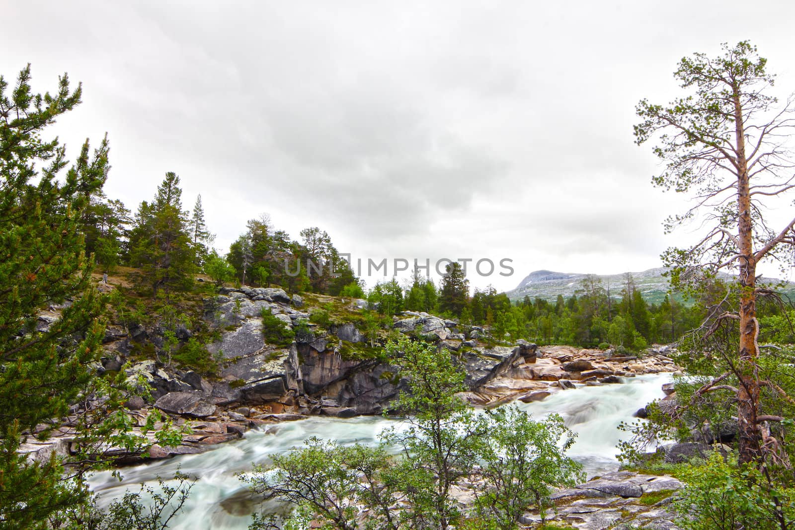 Wild glacier river in summer sunny day, Norway