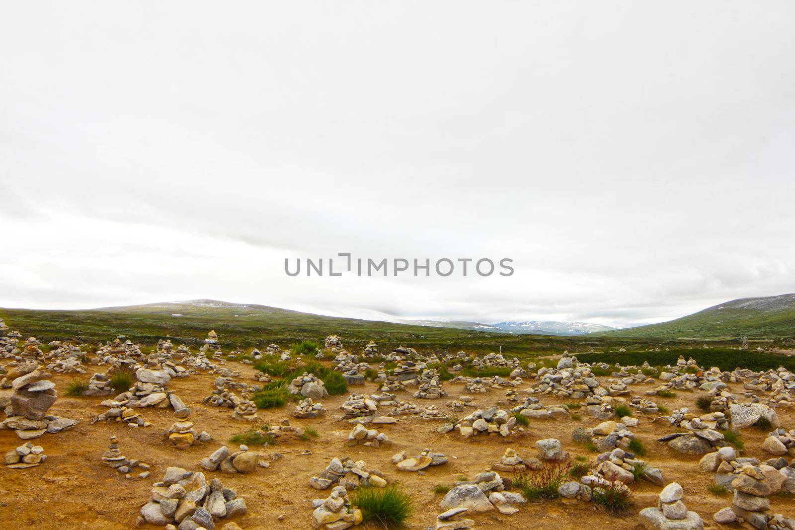 Arctic tundra landscape in northern Norway at summer