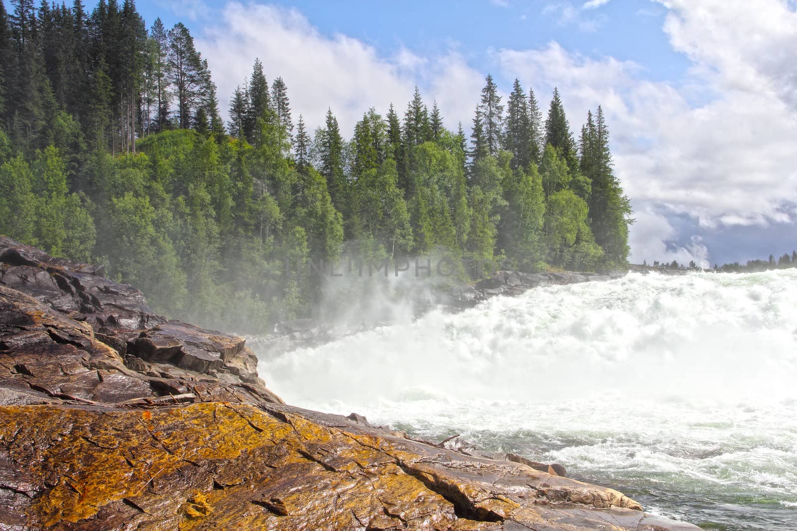 Waterfall and river in green forest in northern Norway at summer