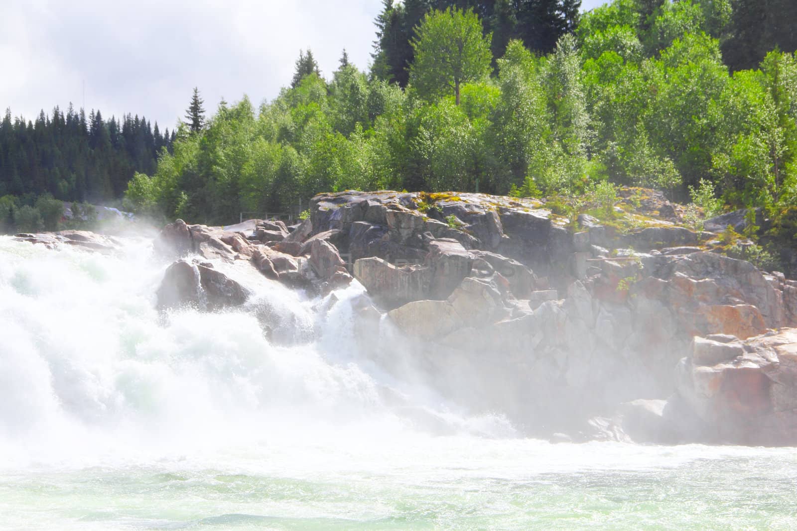 Waterfall and river in green forest in northern Norway at summer