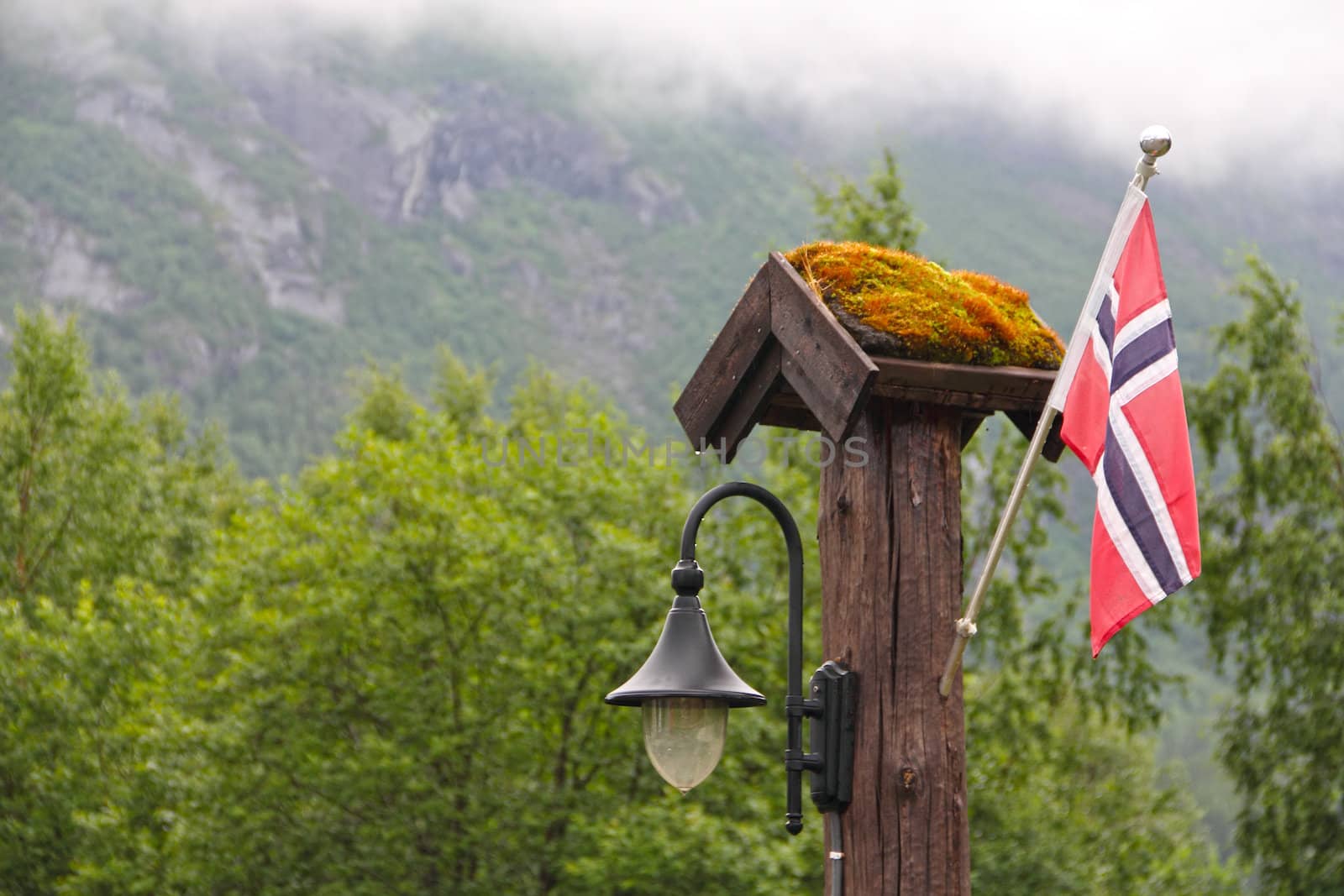 Nowegian flag and lantern in forest by destillat