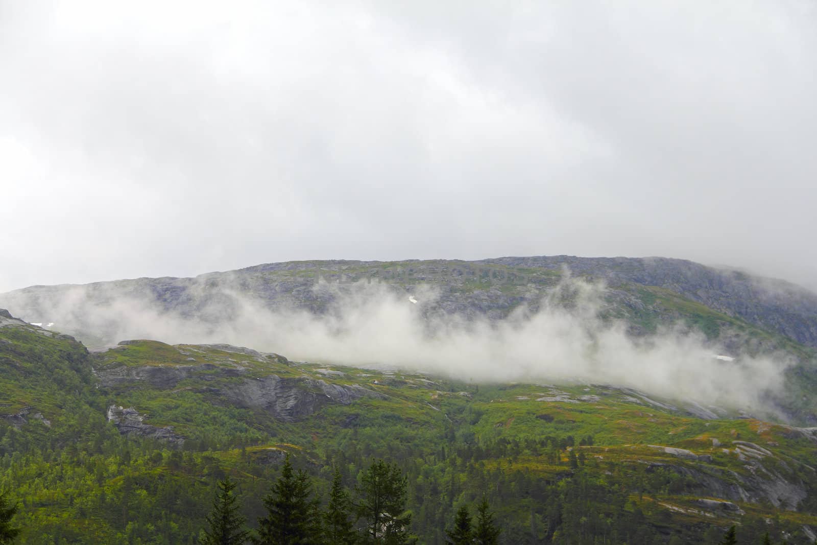 Beautiful view on foggy forest mountains in northern Norway