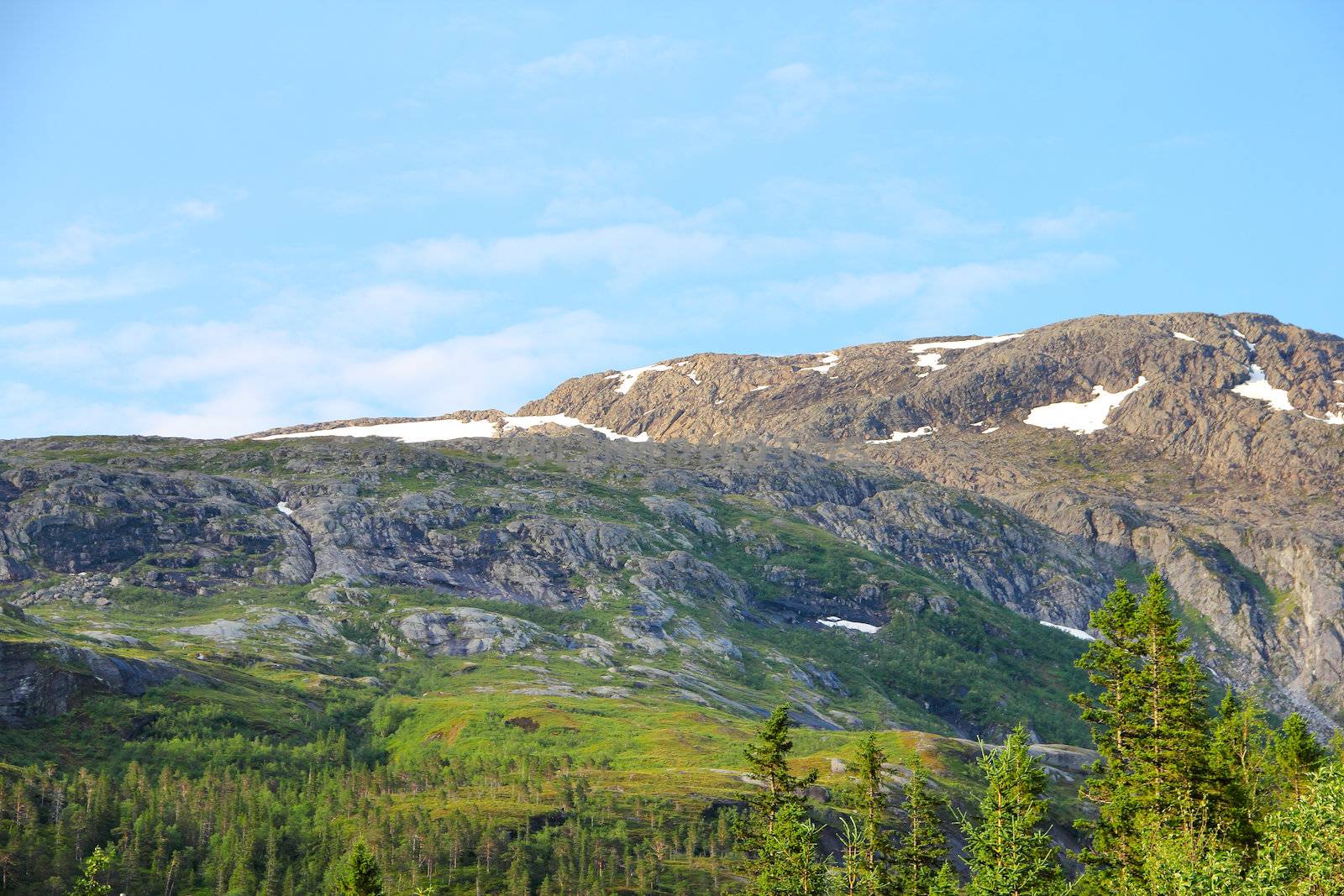 Beautiful view on tundra and mountains in Norway at summer