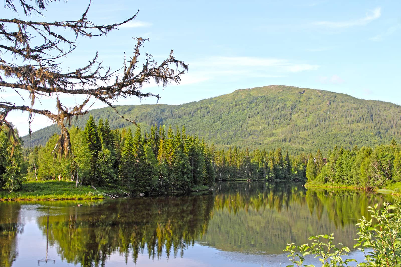 Beautiful view on calm lake and mountains in Norway at summer