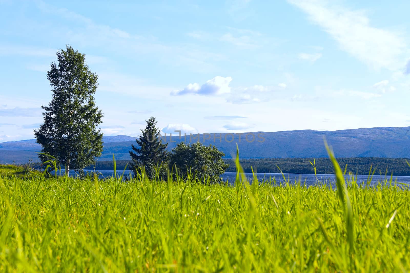 Beautiful landscape of Norway with grass field anf fjord