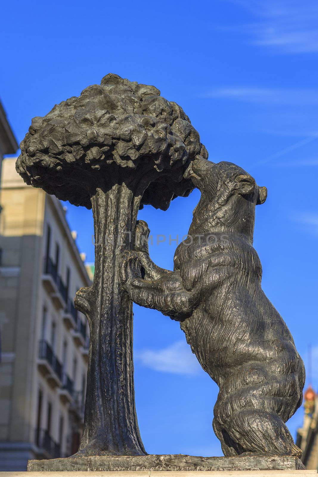 Symbol of Madrid - statue of Bear and strawberry tree, Puerta del Sol, Spain 