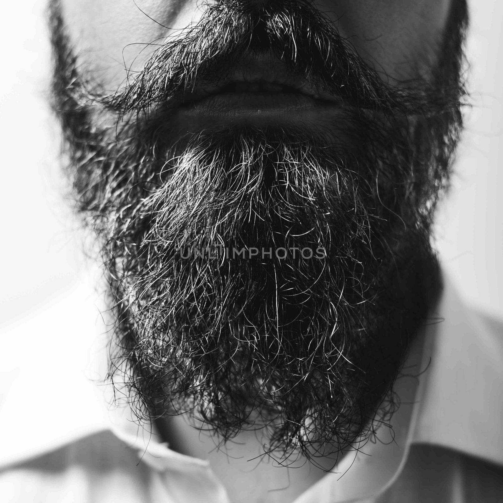 Close up of long beard and mustache man with white shirt