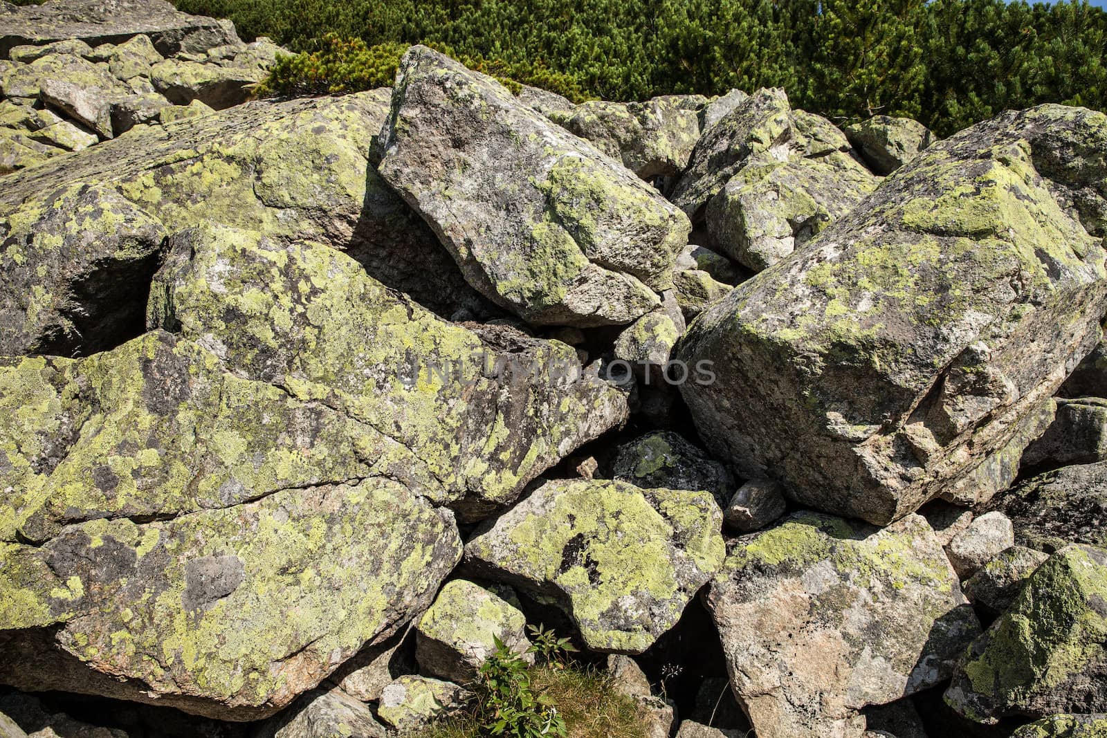 Mountain alpine valley stones rocks. High Tatras, Slovakia