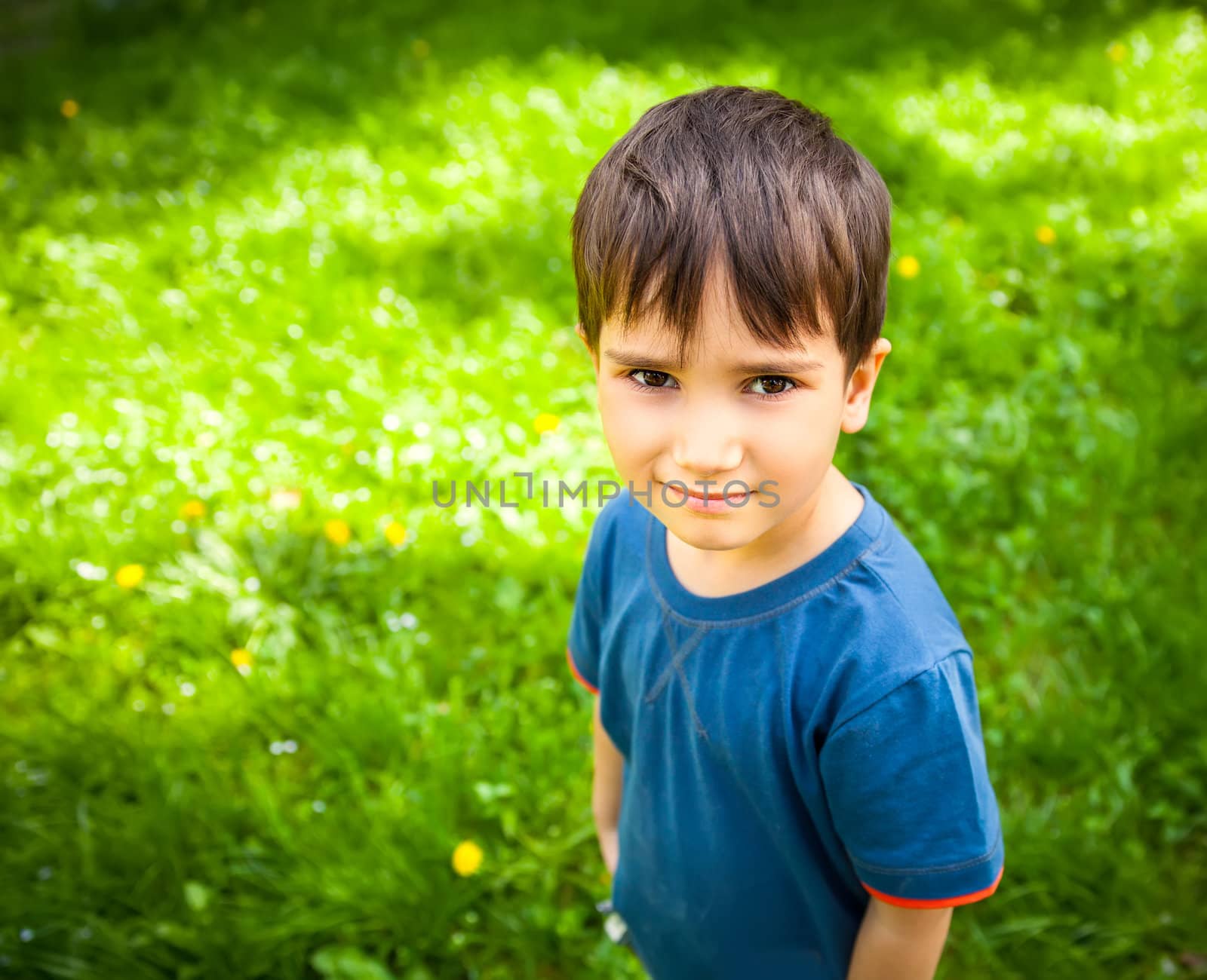Cute boy standing against green grass background