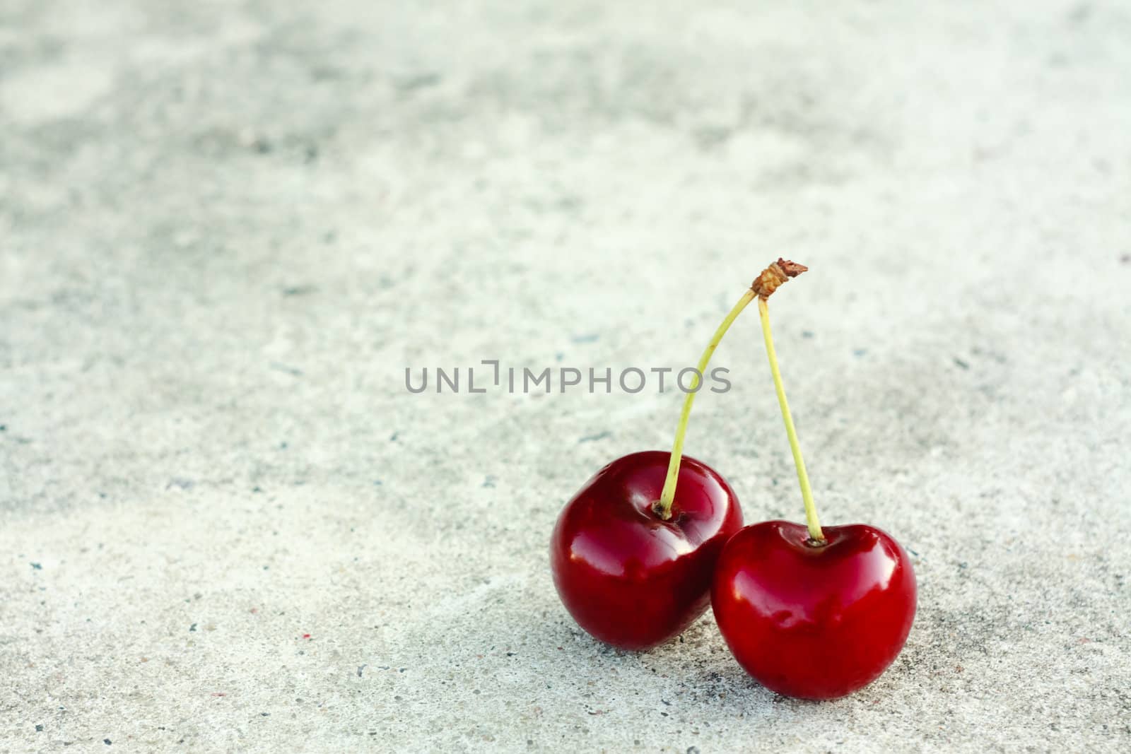 Two Cherries On Gray Background by ryhor