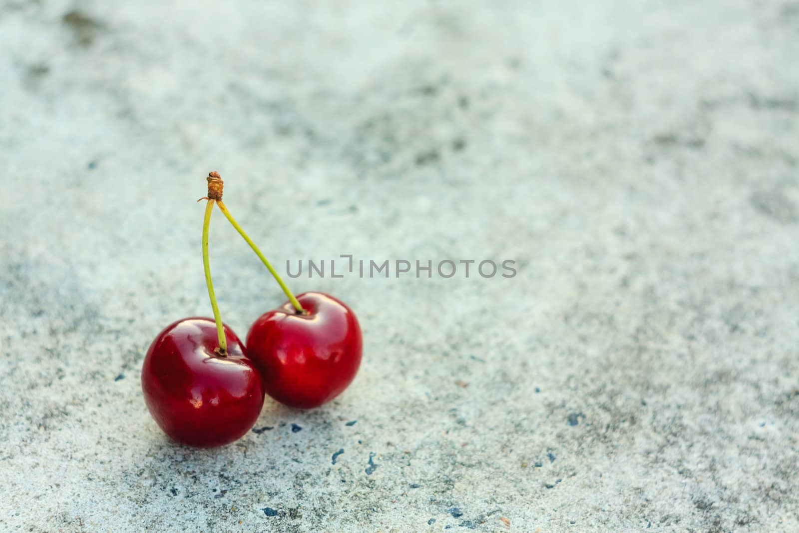 Two Cherries On Gray Background by ryhor