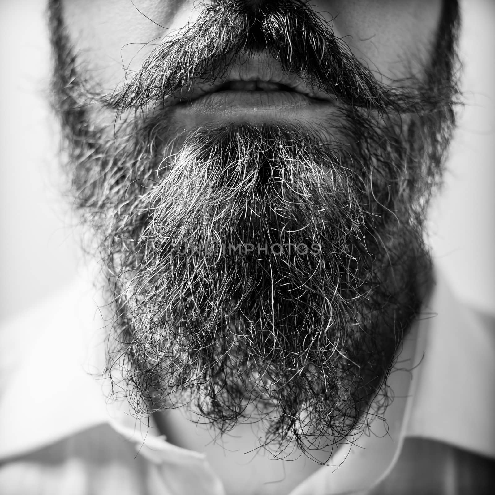 Close up of long beard and mustache man by peus