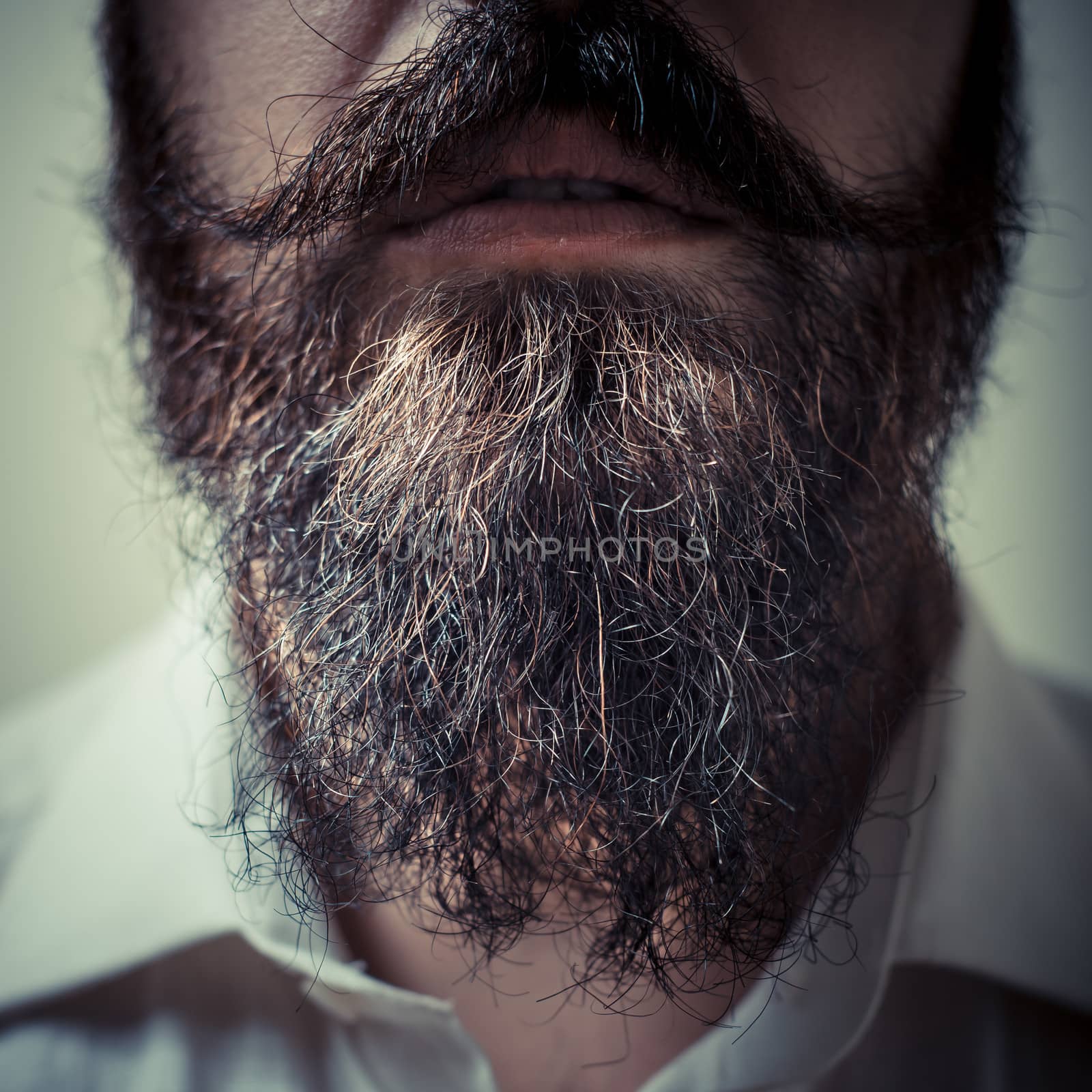 Close up of long beard and mustache man with white shirt