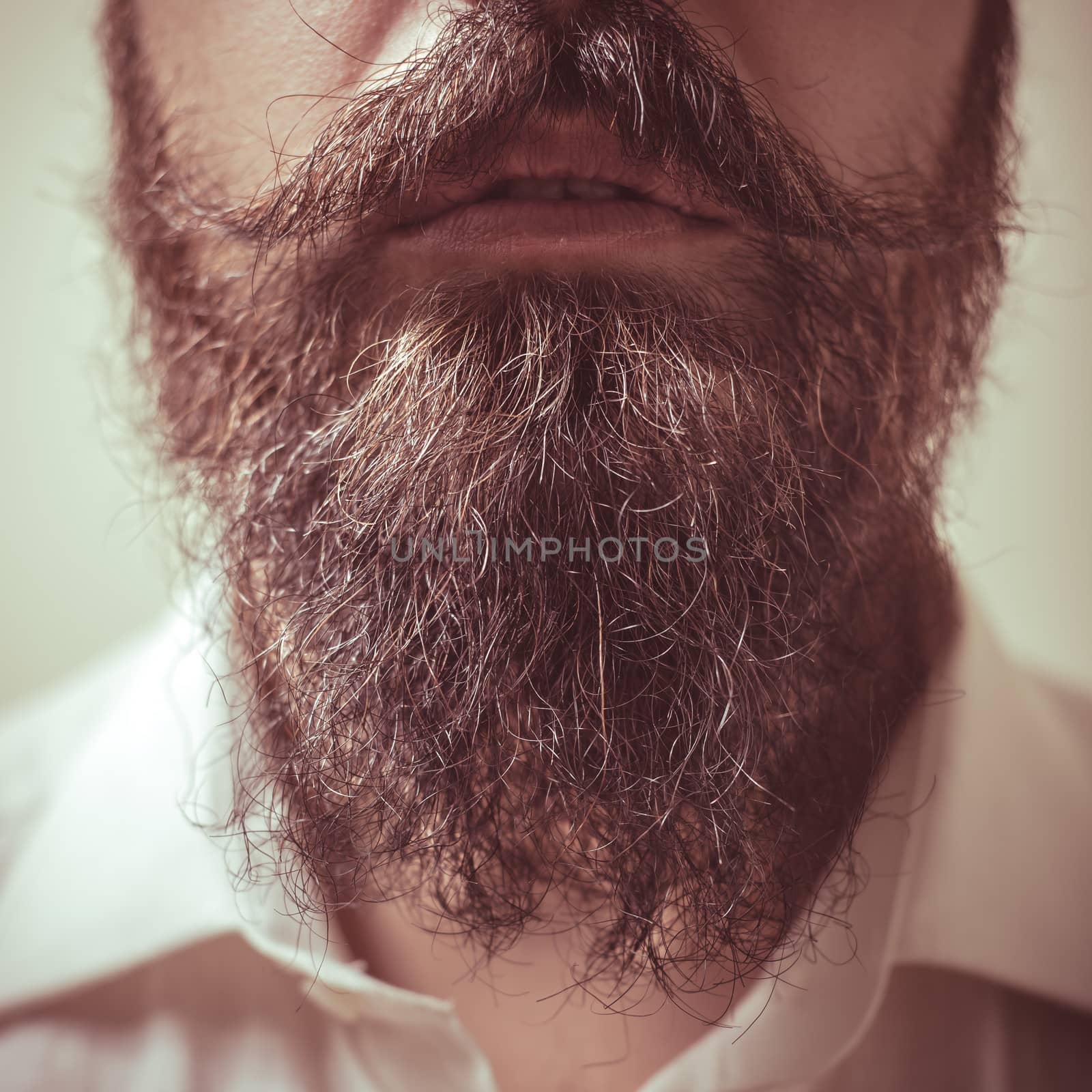 Close up of long beard and mustache man by peus