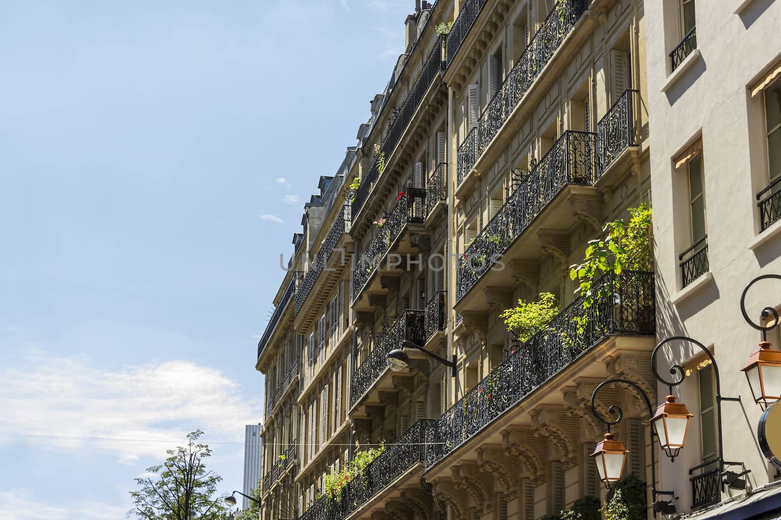 Facade of a traditional living building in Paris, France