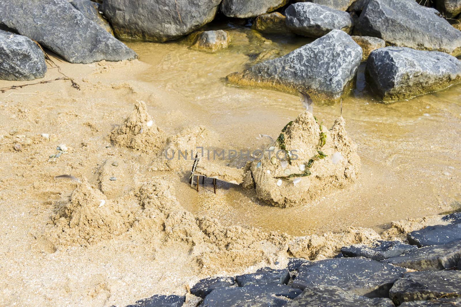 Sand Castle on the Beach, Netherlands by Tetyana