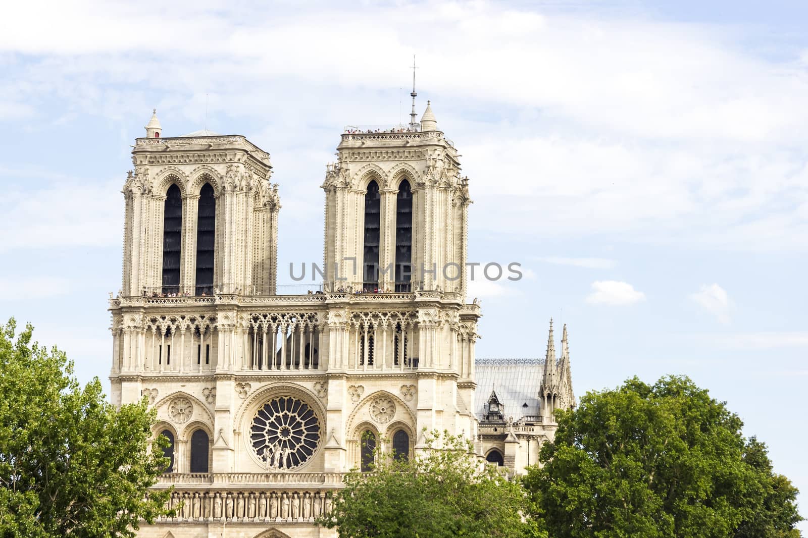 Notre Dame de Paris cathedral by Tetyana