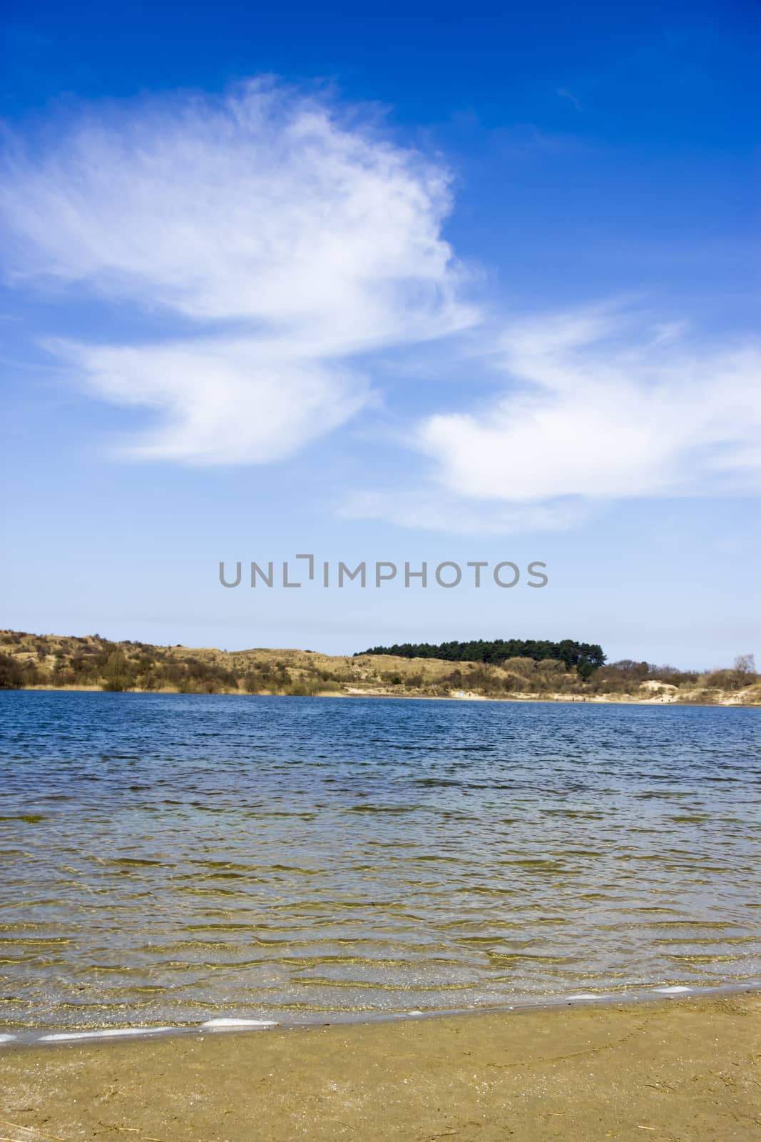 Lake, National Park Zuid Kennemerland, The Netherlands by Tetyana