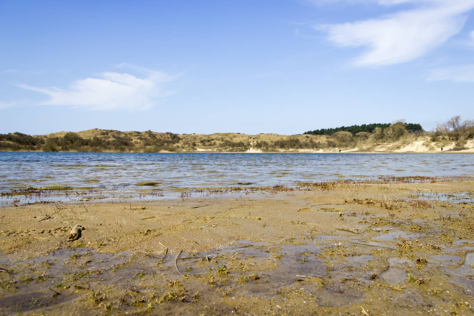 Lake, National Park Zuid Kennemerland, The Netherlands