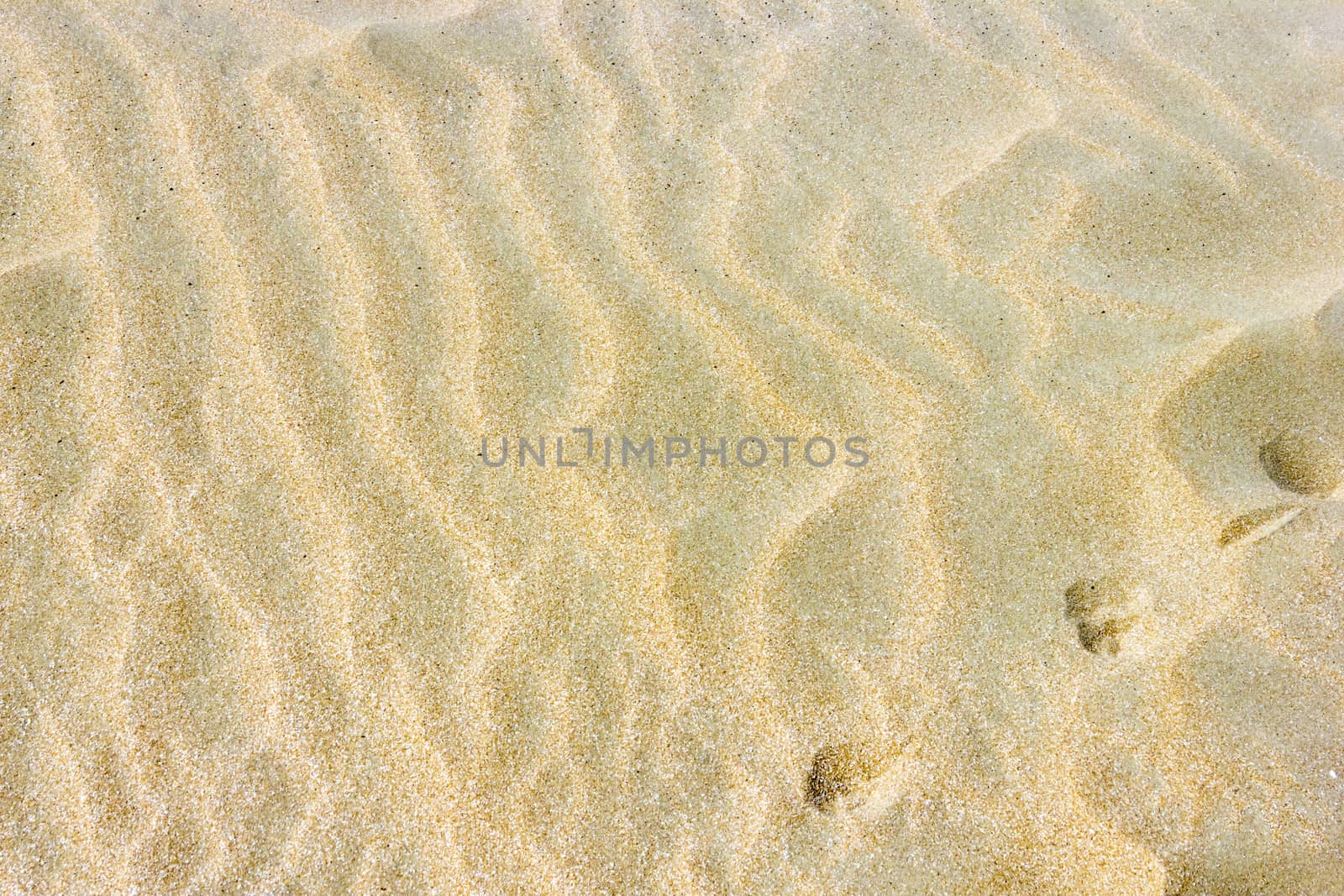 Sand Texture with traces