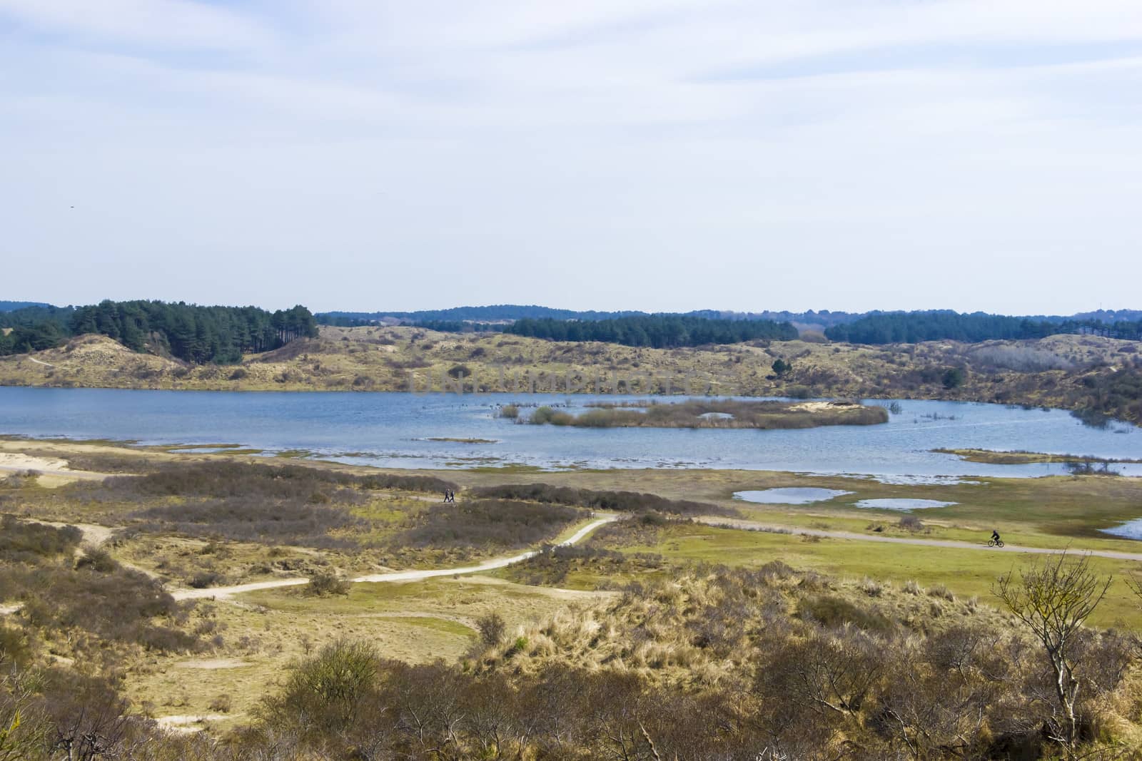 Lakes, National Park Zuid Kennemerland, The Netherlands by Tetyana