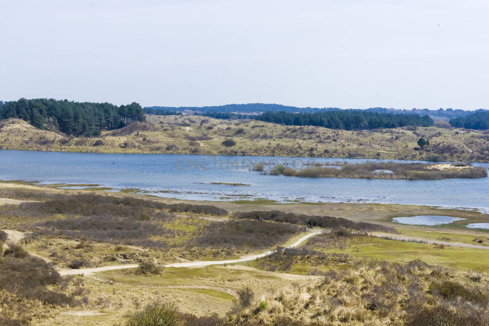 Lakes, National Park Zuid Kennemerland, The Netherlands