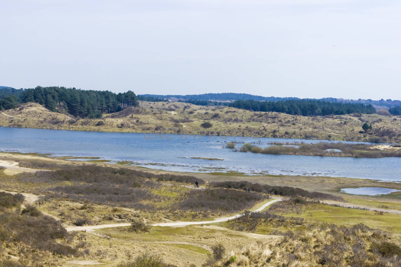 Lakes, National Park Zuid Kennemerland, The Netherlands by Tetyana