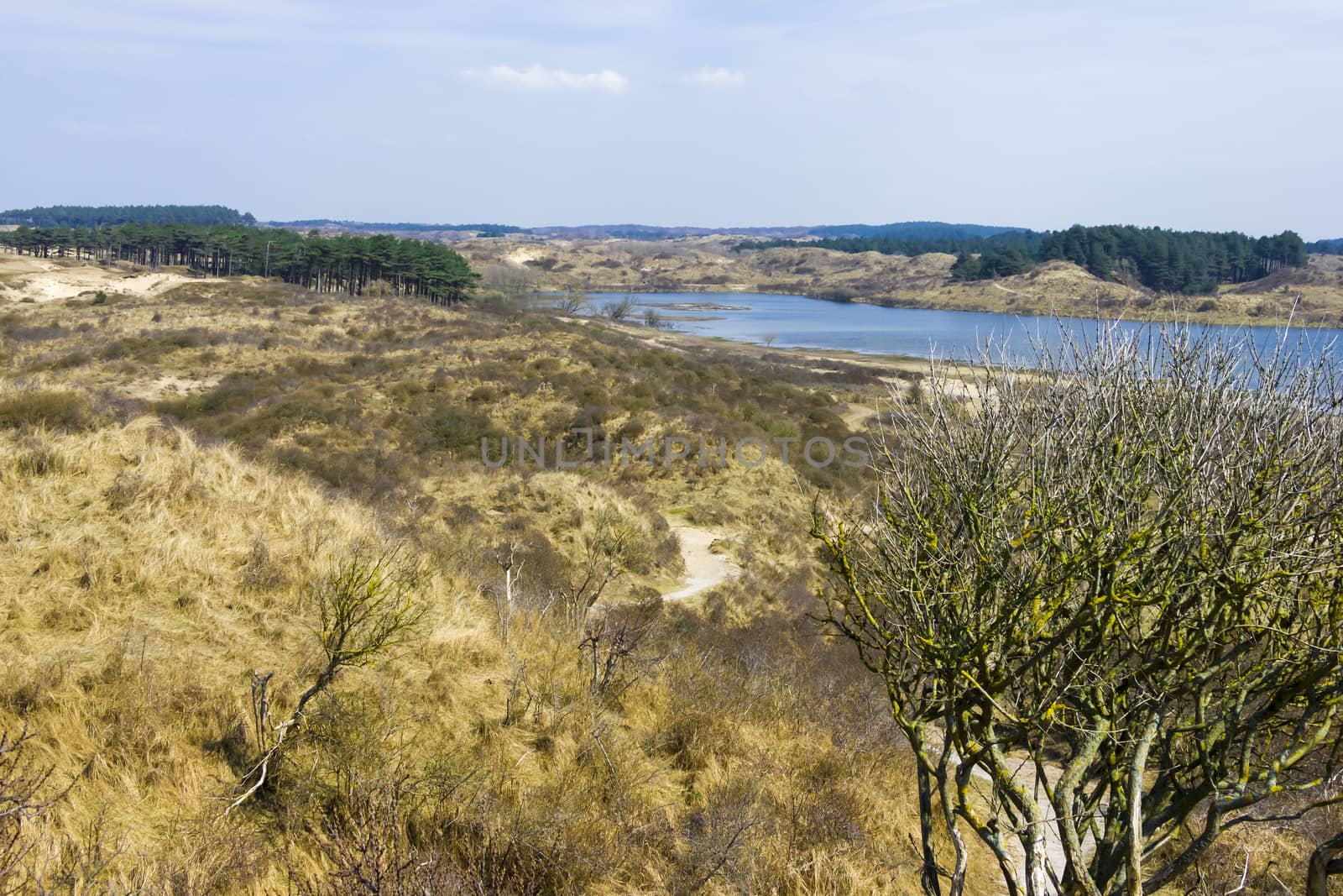 Lakes, National Park Zuid Kennemerland, The Netherlands