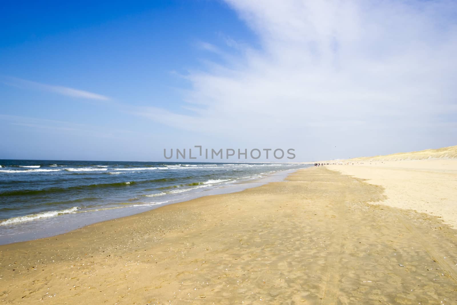 Beach on North Sea, the Netherlands by Tetyana