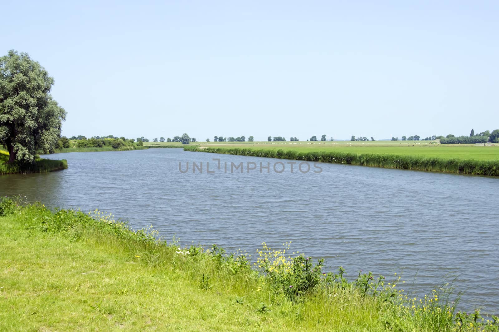 Rural dutch landscape with a river