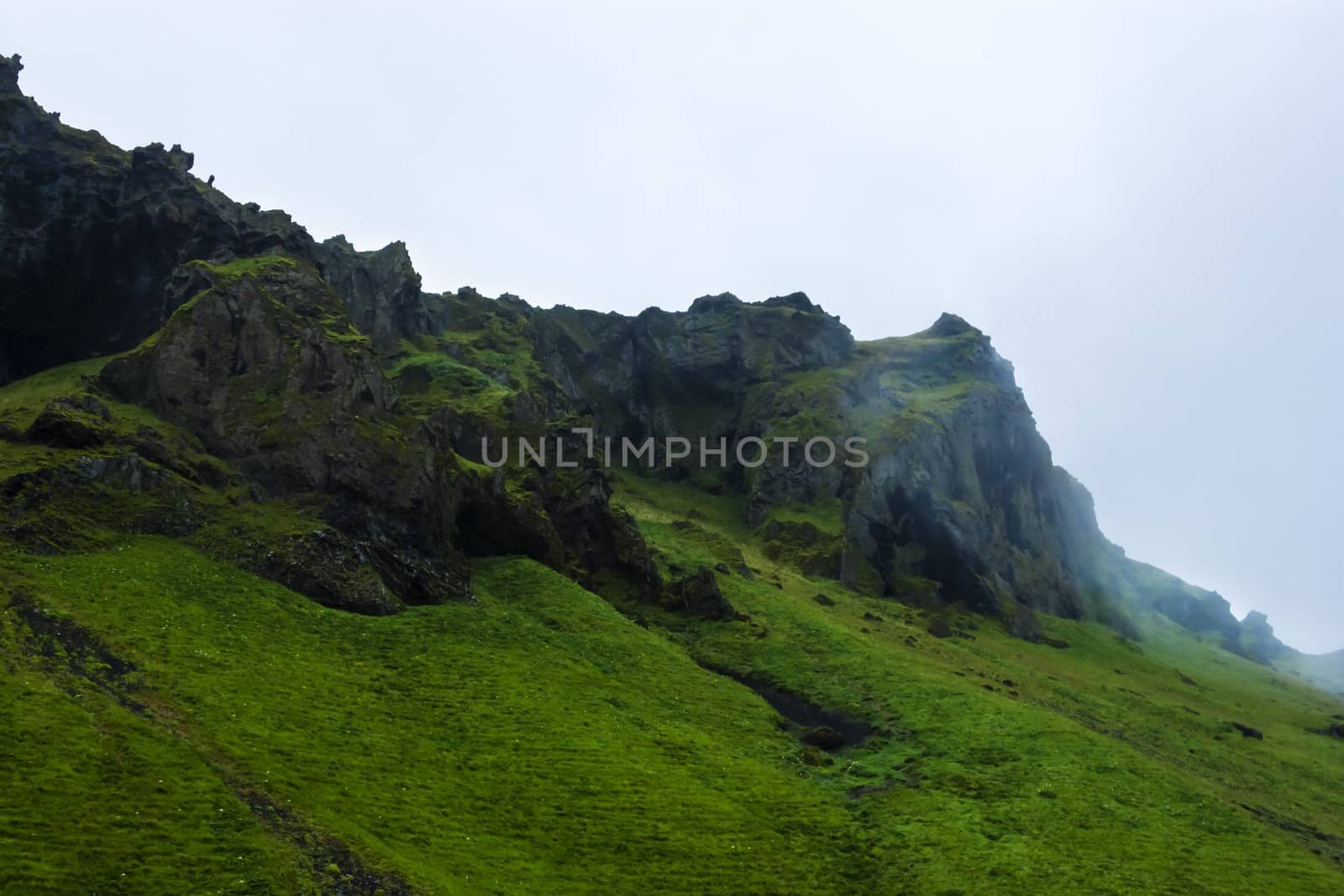 Green rocks in the Iceland summer evening by Tetyana