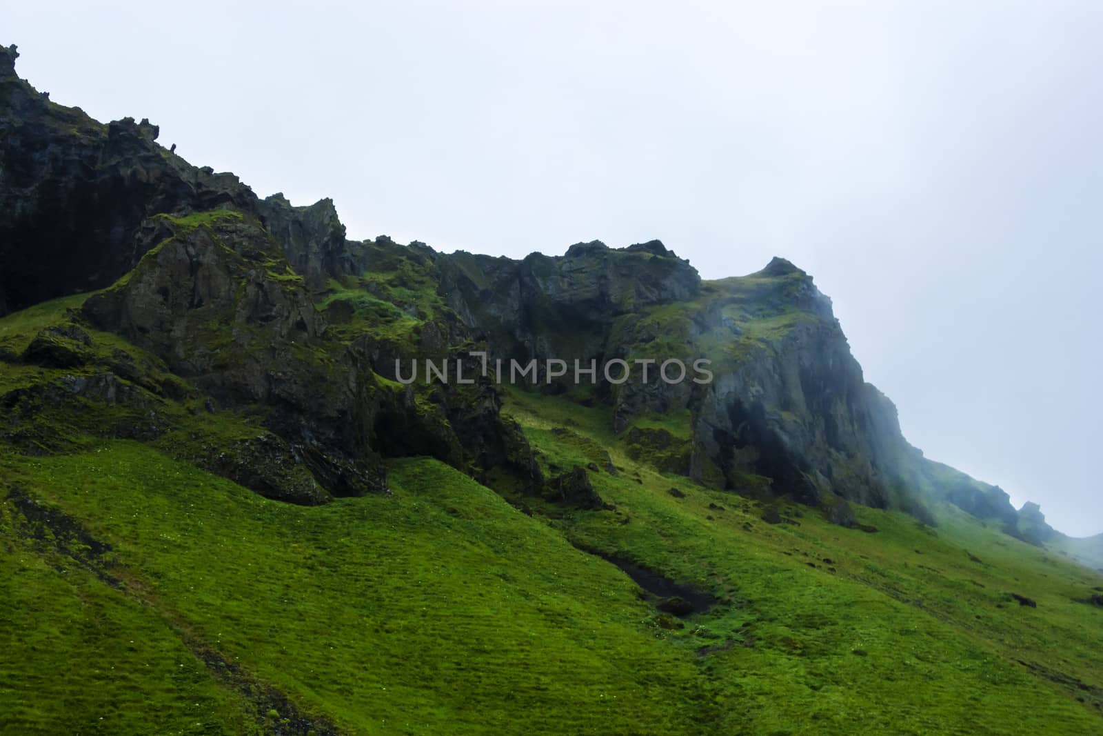 Green rocks in the Iceland summer evening